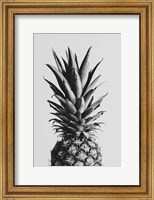 Framed Pineapple Black a White 2