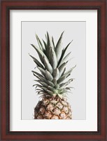 Framed Pineapple Natural