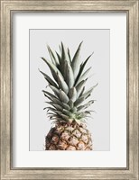 Framed Pineapple Natural