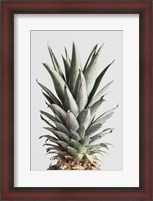 Framed Pineapple Natural 2