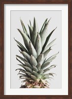 Framed Pineapple Natural 2