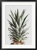 Framed Pineapple Natural 2