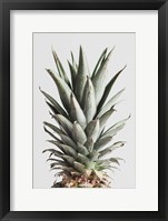 Framed Pineapple Natural 2