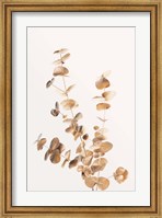 Framed Eucalyptus Gold No 4