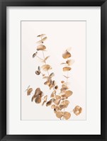 Framed Eucalyptus Gold No 4