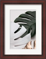 Framed Monstera Colors 1