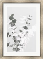 Framed Eucalyptus Creative 8