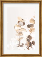 Framed Eucalyptus Creative Gold 1