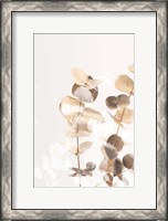 Framed Eucalyptus Creative Gold 1