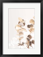 Framed Eucalyptus Creative Gold 1