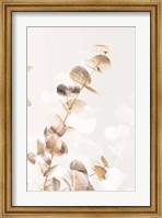 Framed Eucalyptus Creative Gold 2