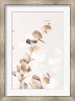 Framed Eucalyptus Creative Gold 2