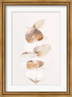 Framed Eucalyptus Creative Gold 4