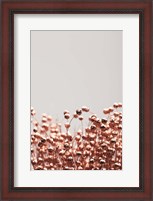 Framed Dried Grass Copper 4