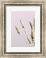 Framed Bunny Grass Pink 2