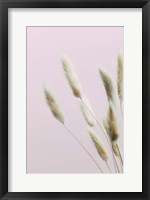 Framed Bunny Grass Pink 2