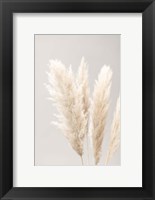 Framed Pampas Grass Grey 2