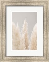 Framed Pampas Grass Grey 4