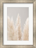 Framed Pampas Grass Grey 4