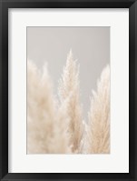 Framed Pampas Grass Grey 4