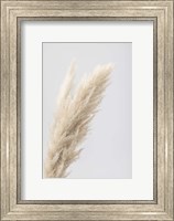 Framed Pampas Grass Grey 7