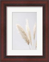 Framed Pampas Grass Grey 8