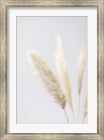 Framed Pampas Grass Grey 8