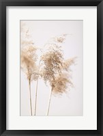 Framed Reed Grass Grey 9