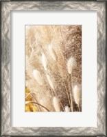 Framed Dried Bouquet