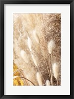 Framed Dried Bouquet