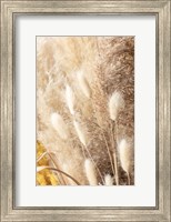 Framed Dried Bouquet