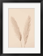 Framed Pampas Grass Beige 1