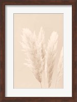 Framed Pampas Grass Beige 2