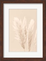 Framed Pampas Grass Beige 2