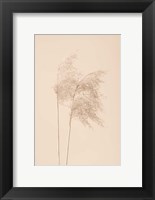 Framed Reed Grass Beige 2