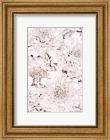 Framed Chrysanthemum No 7
