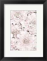 Framed Chrysanthemum No 7