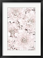 Framed Chrysanthemum No 7