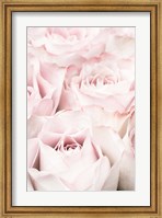 Framed Pink Roses 5