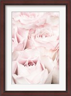 Framed Pink Roses 5