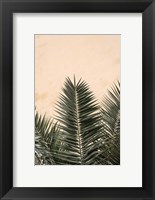 Framed Palm Leaves And Wall 1