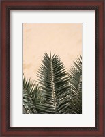 Framed Palm Leaves And Wall 1