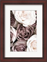 Framed Roses