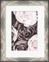 Framed Roses 2