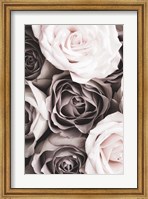 Framed Roses 2