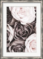 Framed Roses 2