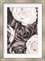Framed Roses 2