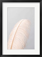 Framed Feather 1