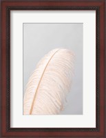 Framed Feather 1