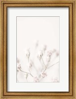 Framed Pink Small Flowers